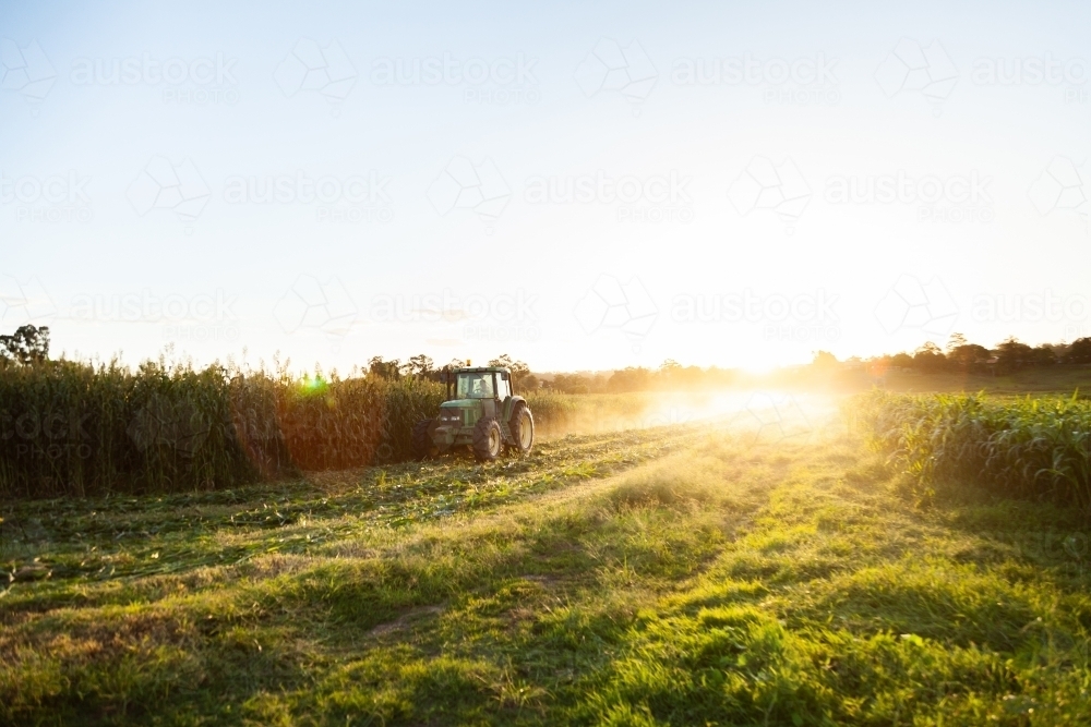 Green tractor in paddock with sunflare - Australian Stock Image