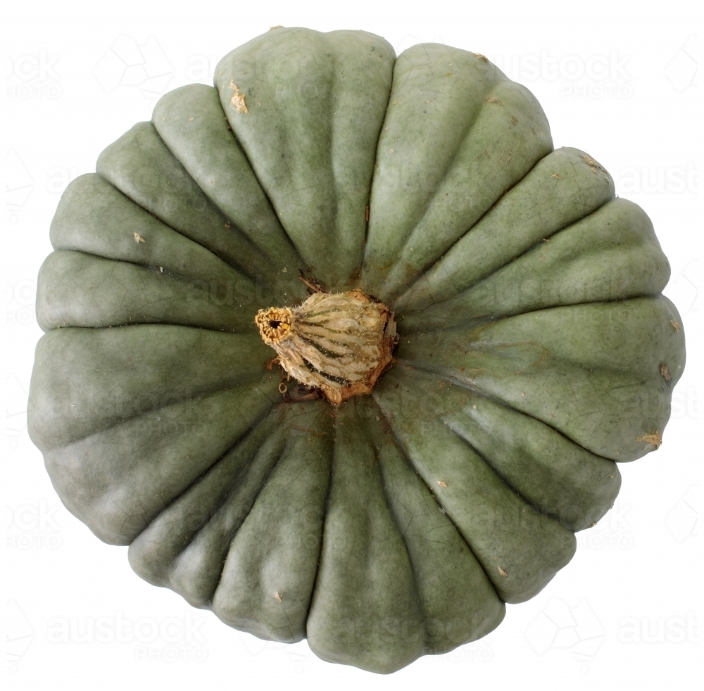 Grey-green pumpkin on white background - Australian Stock Image