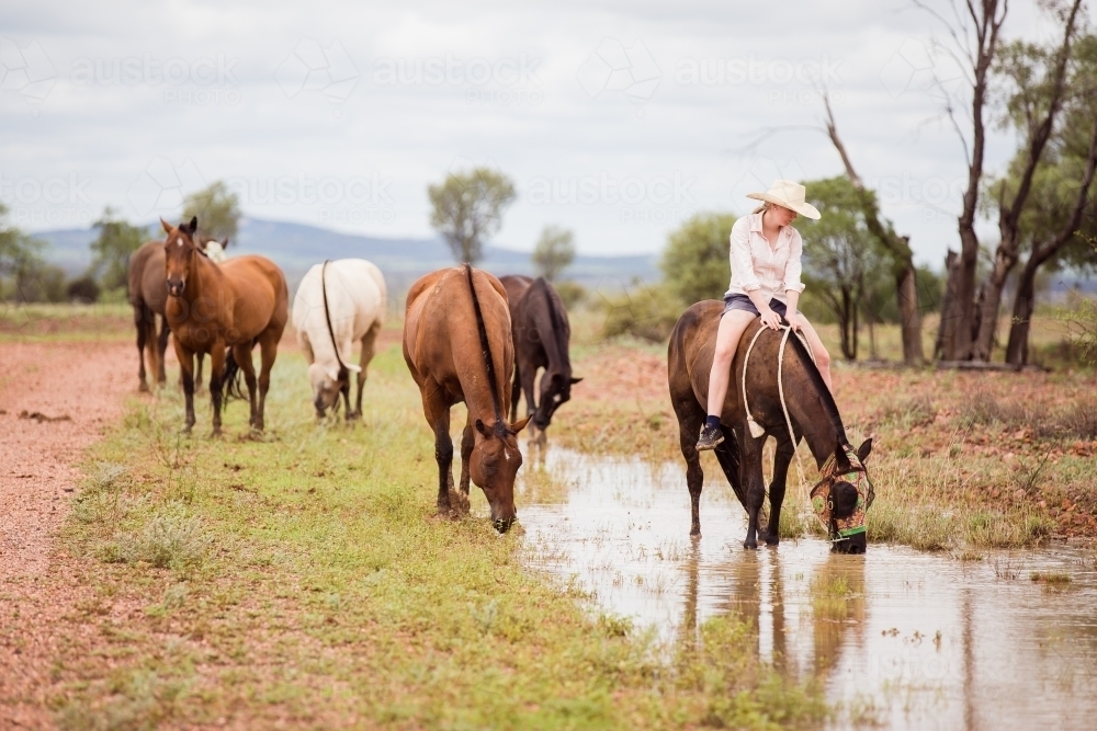 Group of horses drinking rainwater with teenage rider - Australian Stock Image