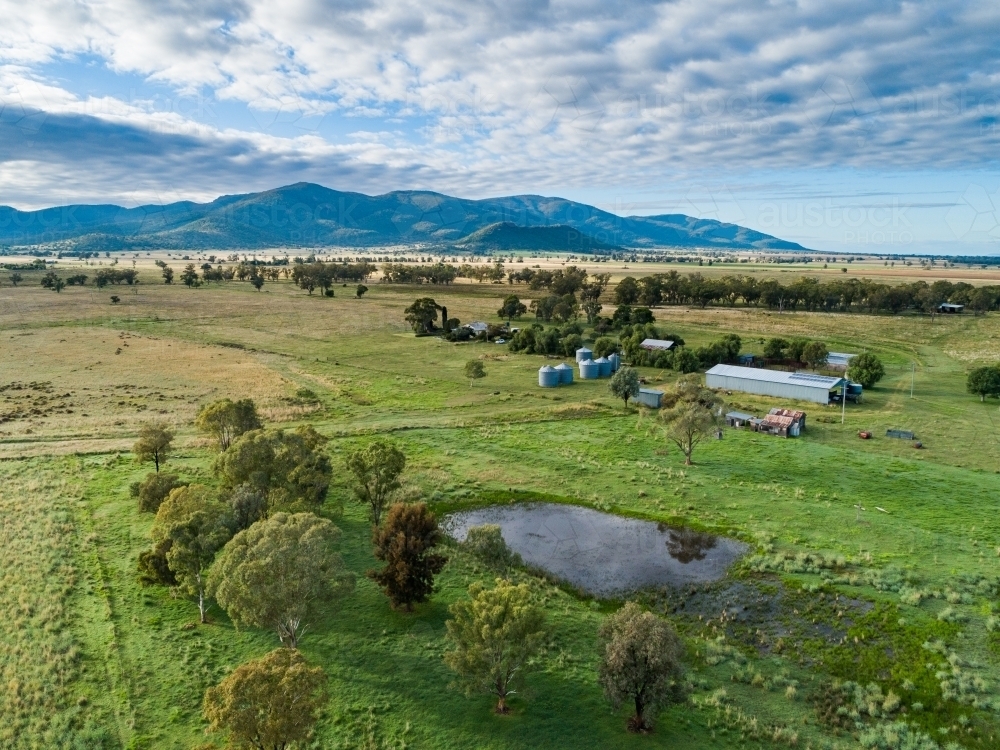 Gum trees around farm dam with farmstead buildings in green paddocks behind - Australian Stock Image