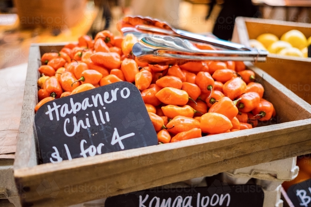 Habanero chillis at the market - Australian Stock Image