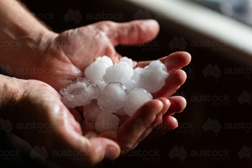 Handful of hailstones - Australian Stock Image