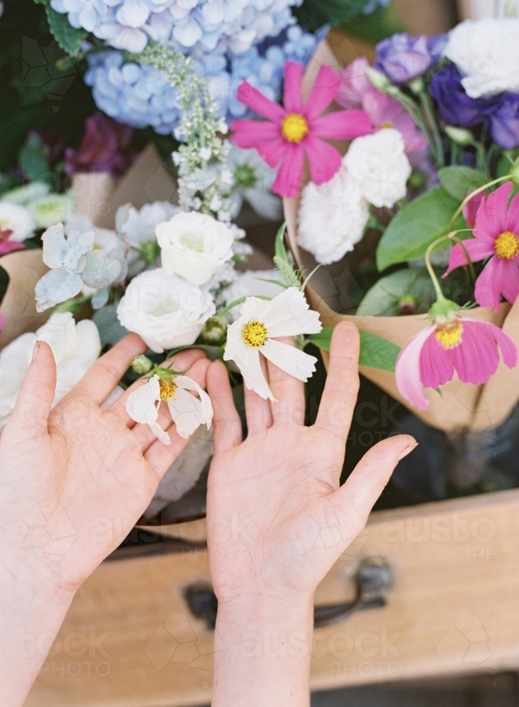 Hands gently touching flowers in a bouquet - Australian Stock Image