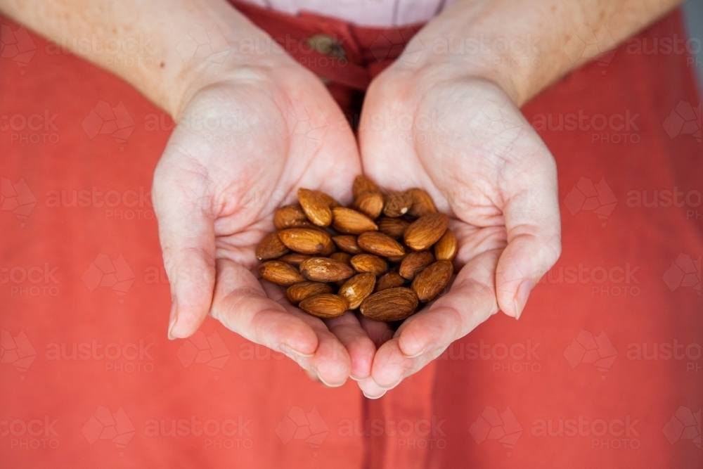 Hands holding almond nuts - Australian Stock Image