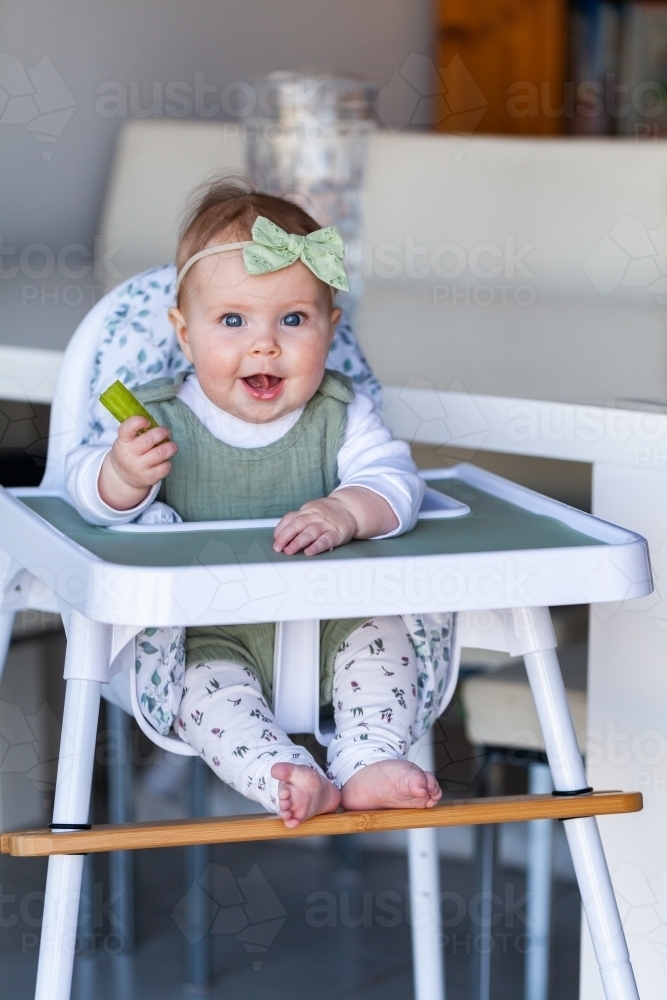 Happy blue eyed Caucasian baby sitting up in high chair with a celery stick - Australian Stock Image