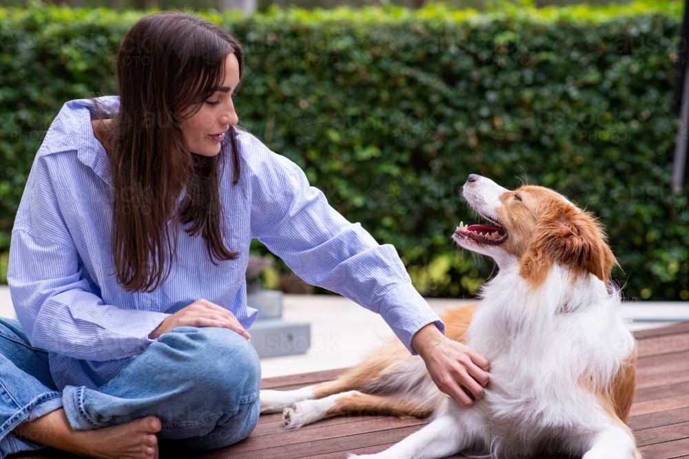 Image of happy dog with owner - Austockphoto