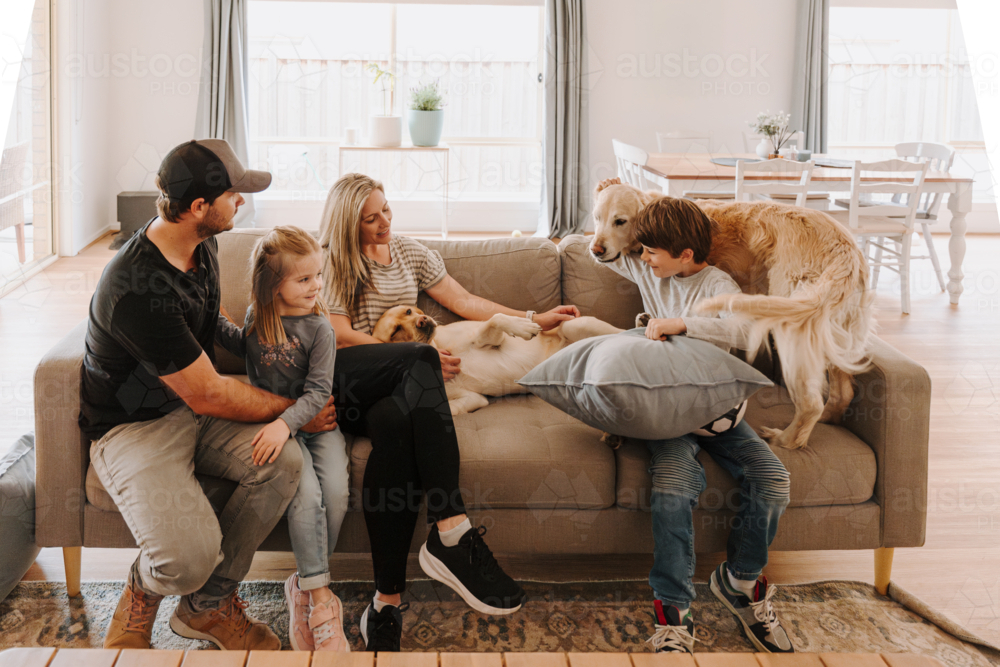 Happy family comfortably sitting on the couch with their dogs in the living room. - Australian Stock Image