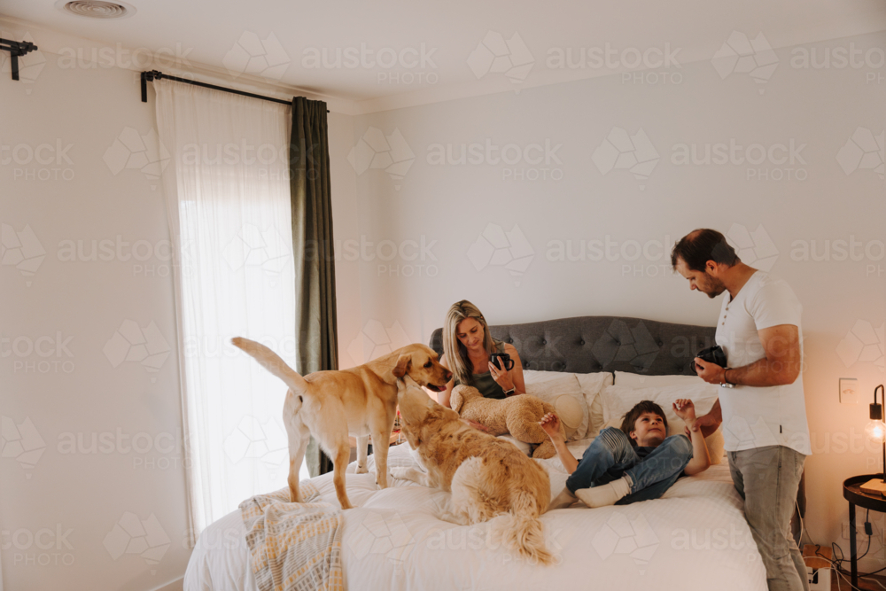 Happy family snuggling on a cosy bed with their pets. - Australian Stock Image