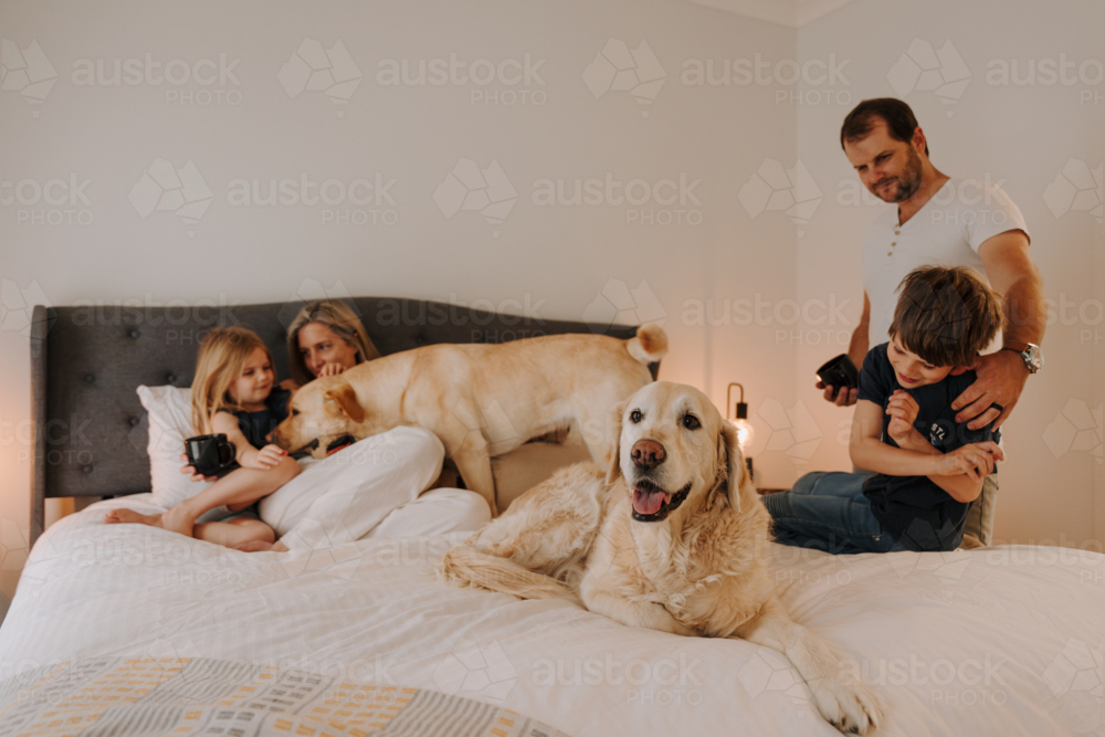 Happy family spending time together in the bedroom. - Australian Stock Image