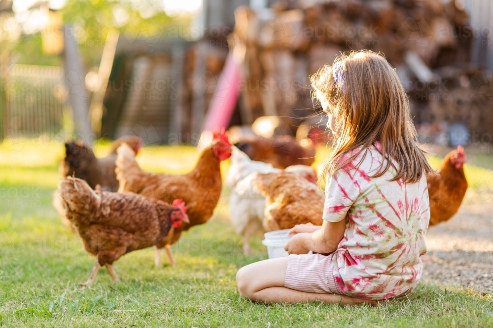 happy farm kid playing with chooks in backyard - Australian Stock Image