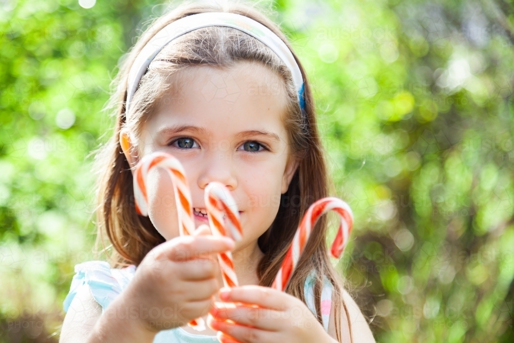 Happy girl holding up traditional coloured candy canes at Christmas time - Australian Stock Image