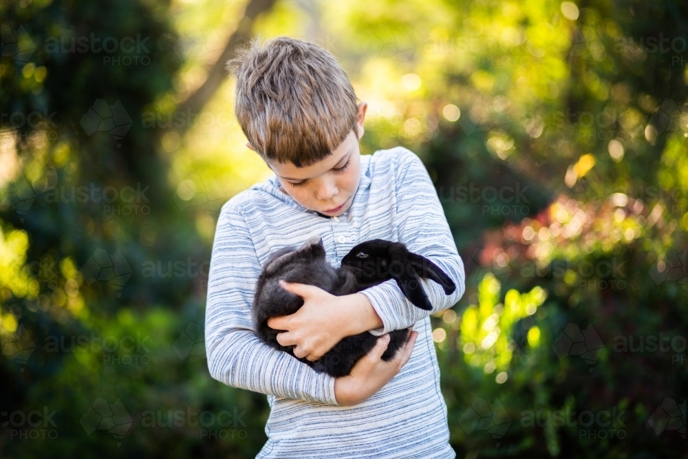 Happy kid holding his pet black bunny rabbit - Australian Stock Image