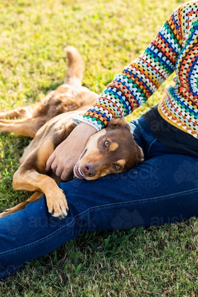 Happy old red kelpie dog lying with female owner on green lawn - Australian Stock Image