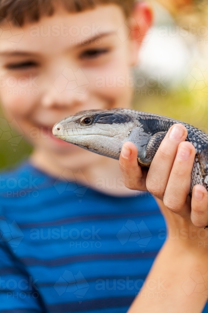 Happy tween boy holding native australian blue tongue lizard pet - Australian Stock Image