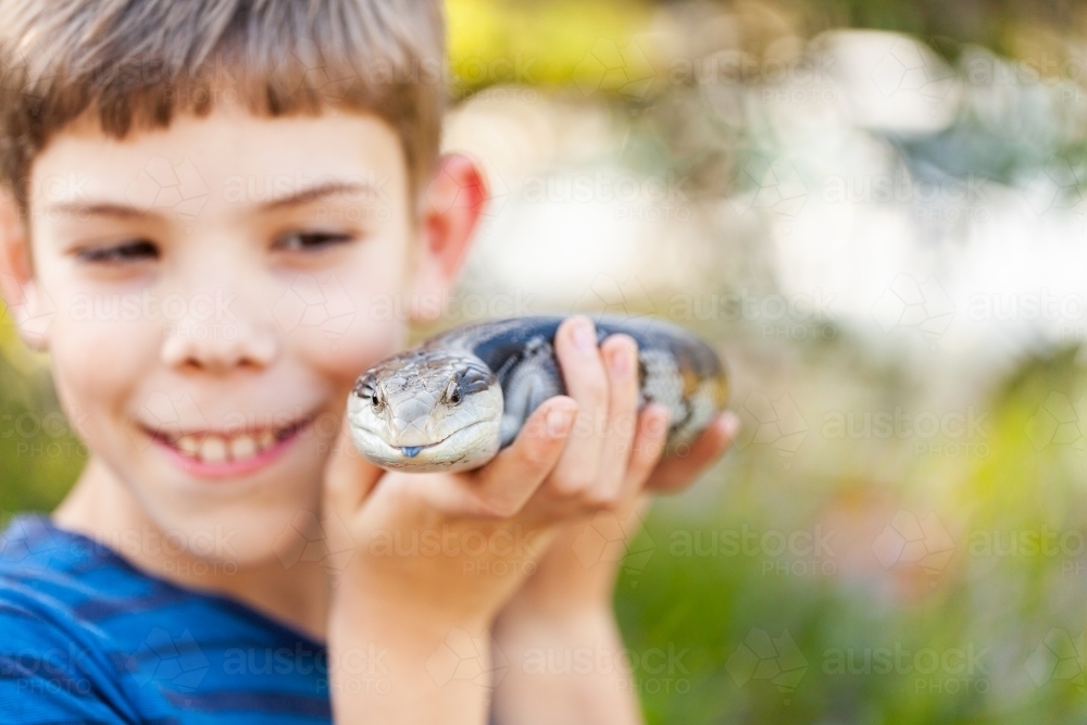 Happy tween boy holding native australian blue tongue lizard pet - Australian Stock Image