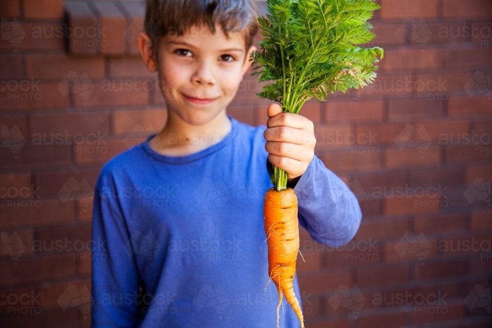 Happy young boy with huge home grown carrot from veggie garden - Australian Stock Image