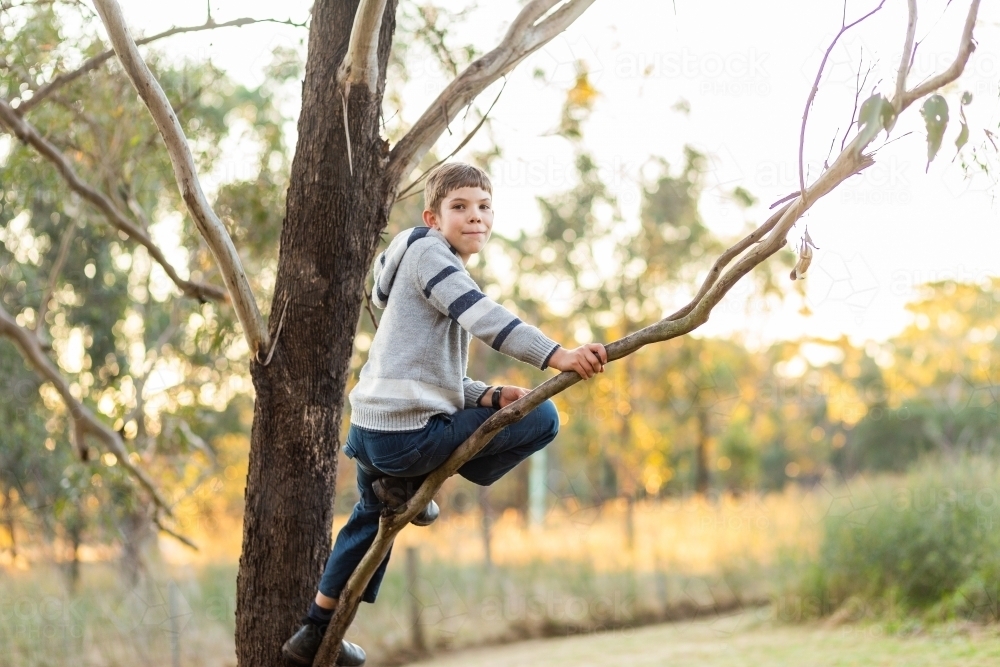 Happy young country kid climbing up gum tree in paddock on winter afternoon - Australian Stock Image