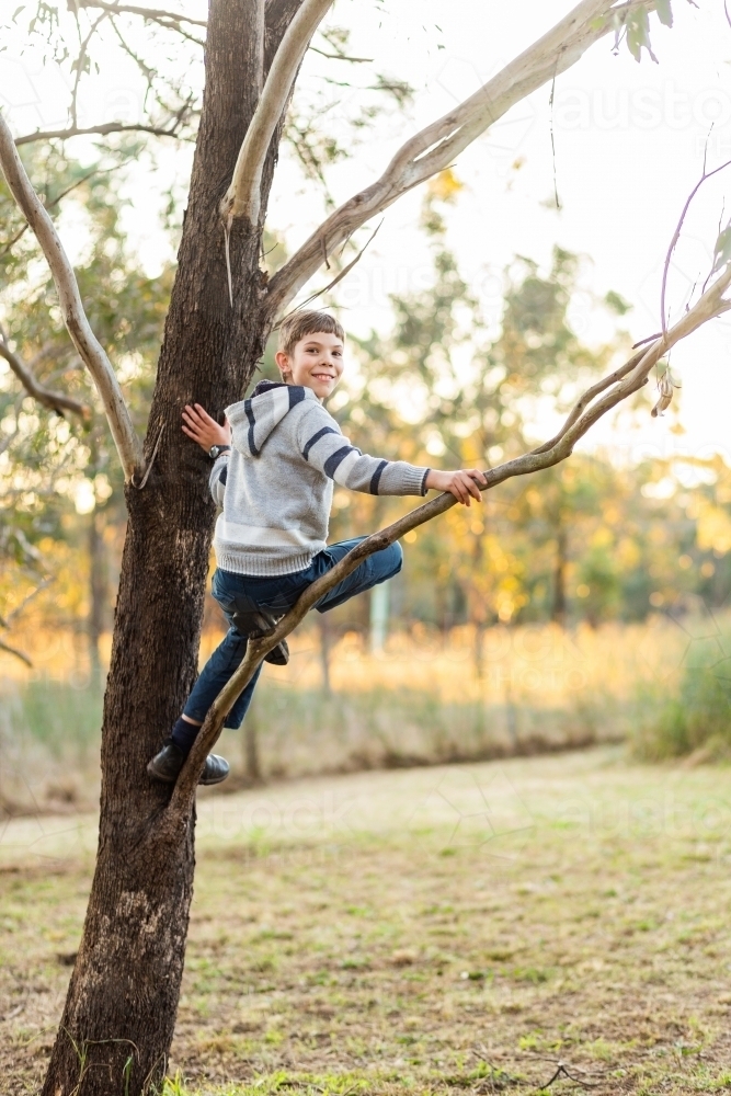 Happy young country kid climbing up gum tree in paddock on winter afternoon - Australian Stock Image