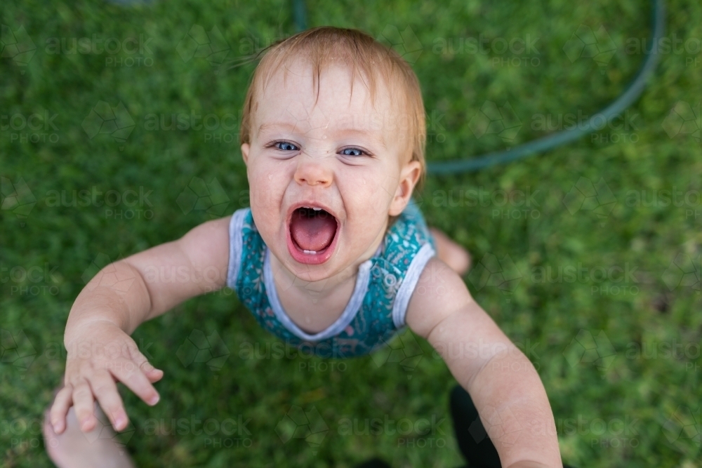 hapy baby roaring and pulling up to stand on parents legs - Australian Stock Image