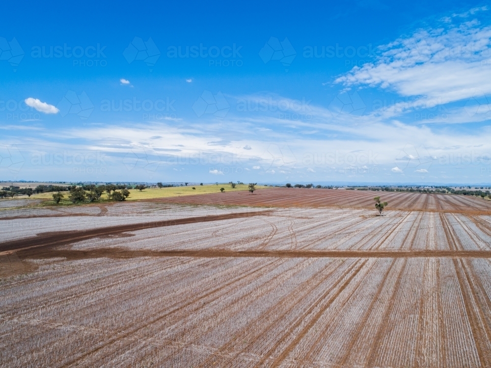 harvested farm paddocks on flat agricultural land - Australian Stock Image