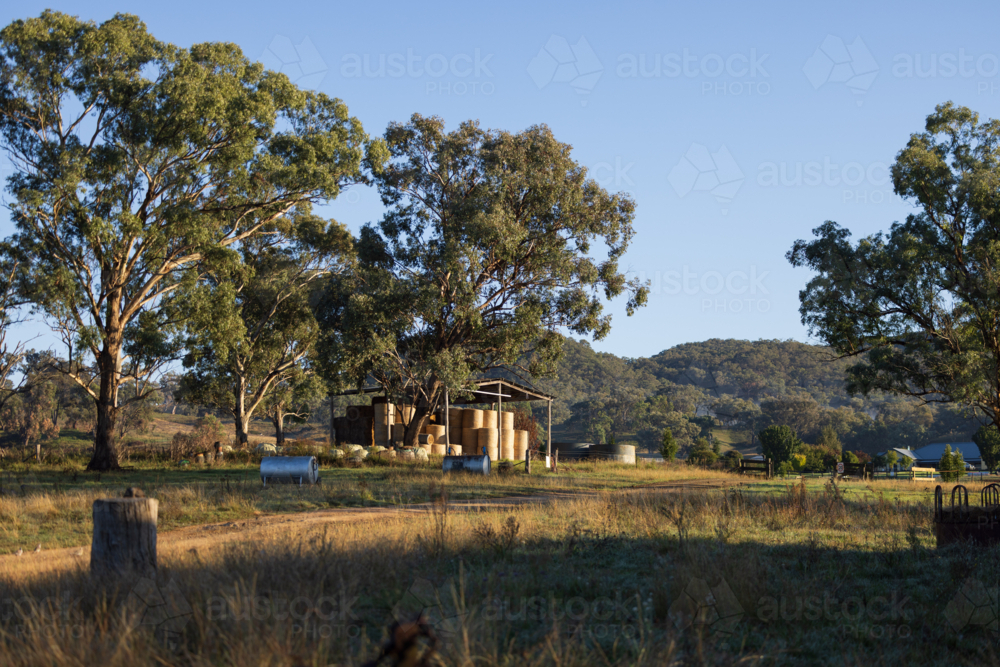 Hay shed on farm filled with round bales in warm early morning light - Australian Stock Image