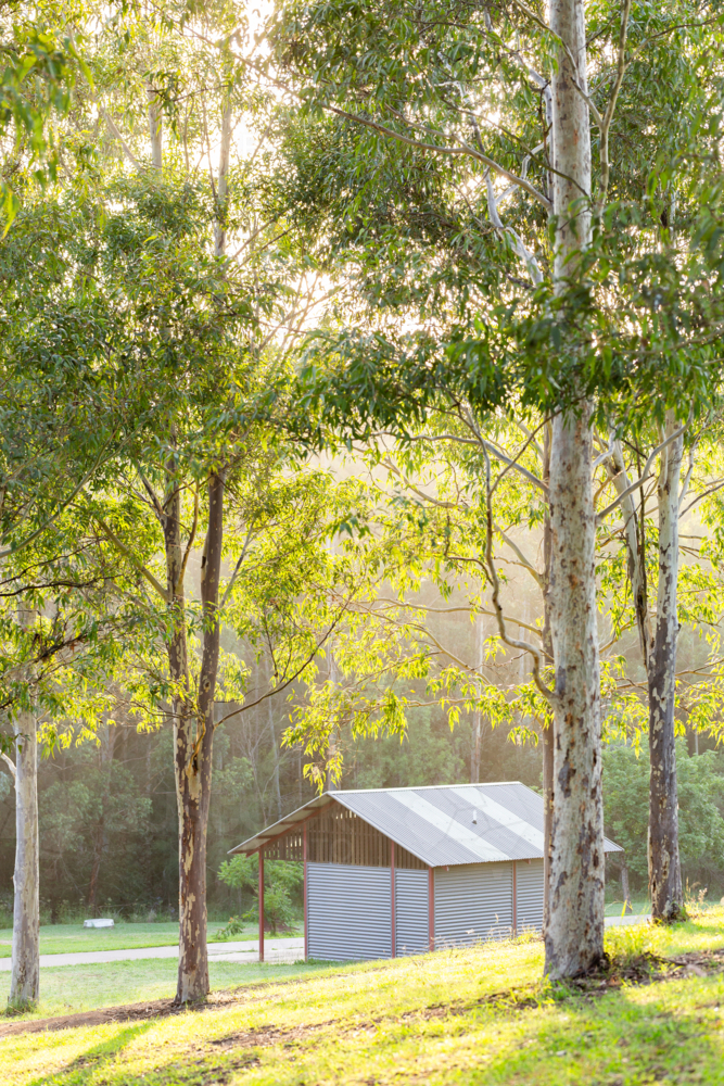 Hazy morning light through gum trees with public toilet block at park - Australian Stock Image