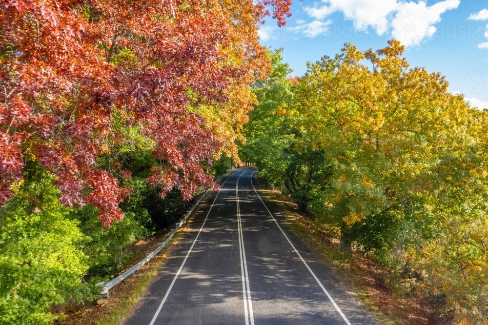 Heading through a canopy of autumn trees along an asphalt road - Australian Stock Image