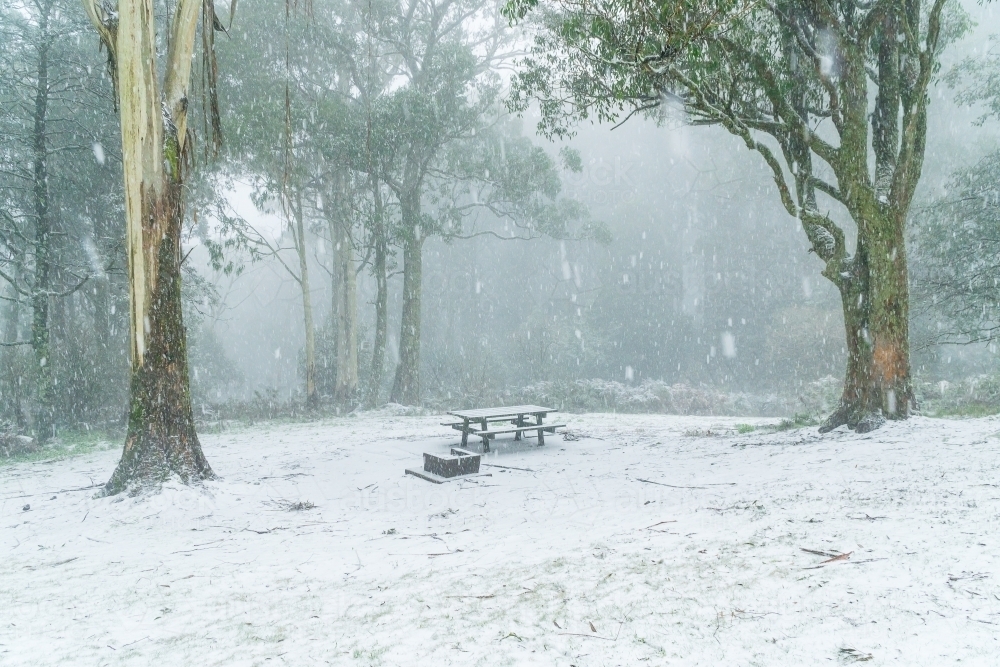 Heavy snow covering the ground and a picnic table in a bush setting - Australian Stock Image