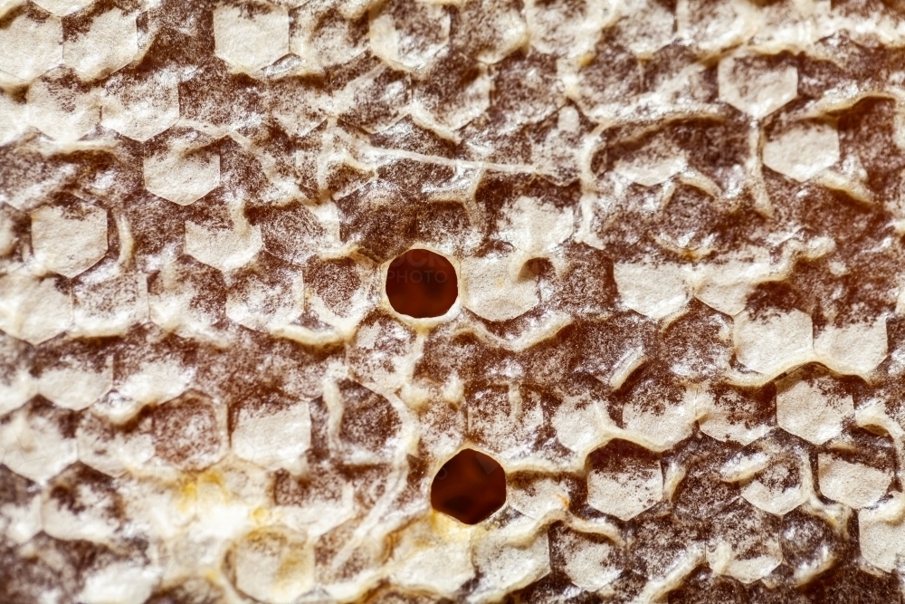 Hexagonal honeycomb texture on honey frame - Australian Stock Image