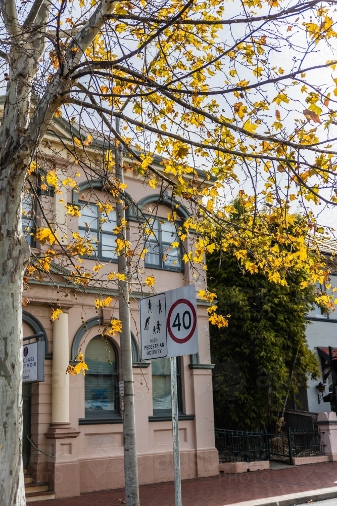 High pedestrian activity 40 zone speed sign near building and yellow tree - Australian Stock Image