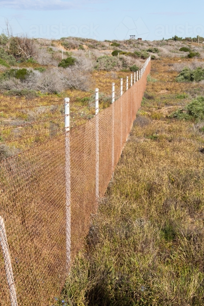 High security fence through scrub - Australian Stock Image