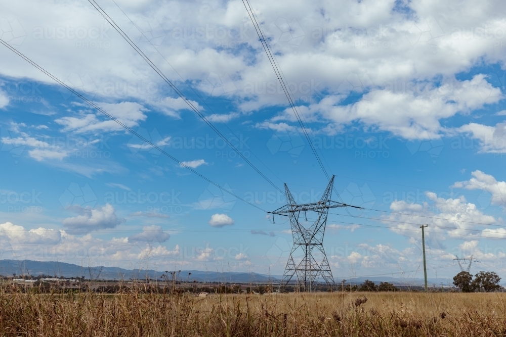 High voltage power lines in paddock near Tamworth, New South Wales - Australian Stock Image
