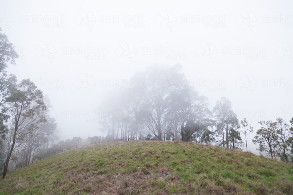 Hill with shadowy trees hidden in fog and mist - Australian Stock Image