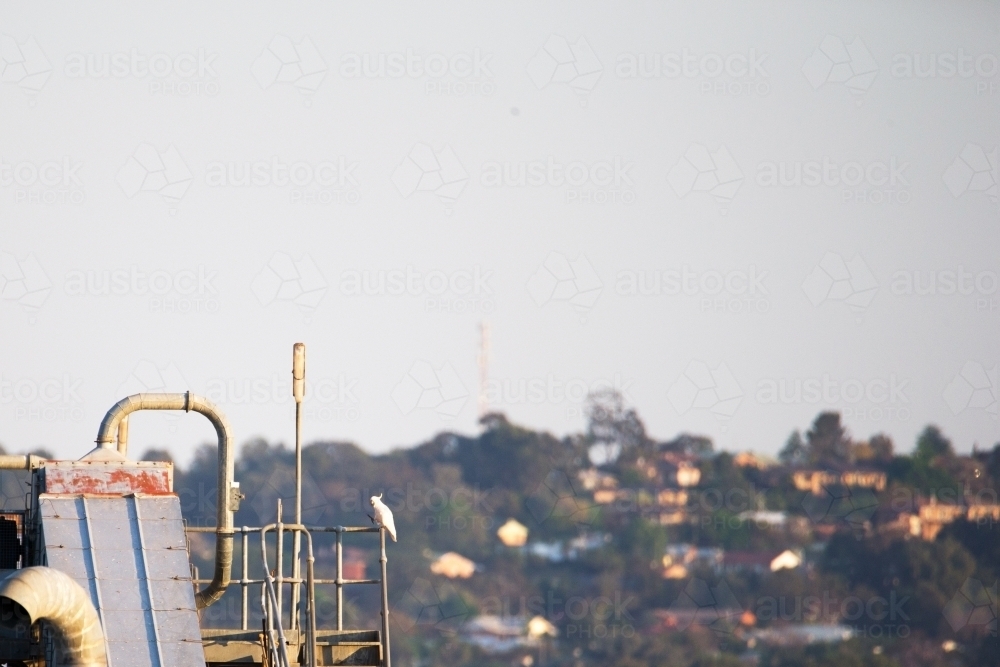 Horizontal photo of steel works and bird with a blurry community in the back with trees and houses - Australian Stock Image