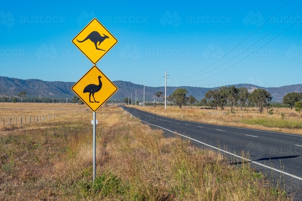 Horizontal photo of yellow kangaroo and emu signage on the road side and an empty highway - Australian Stock Image