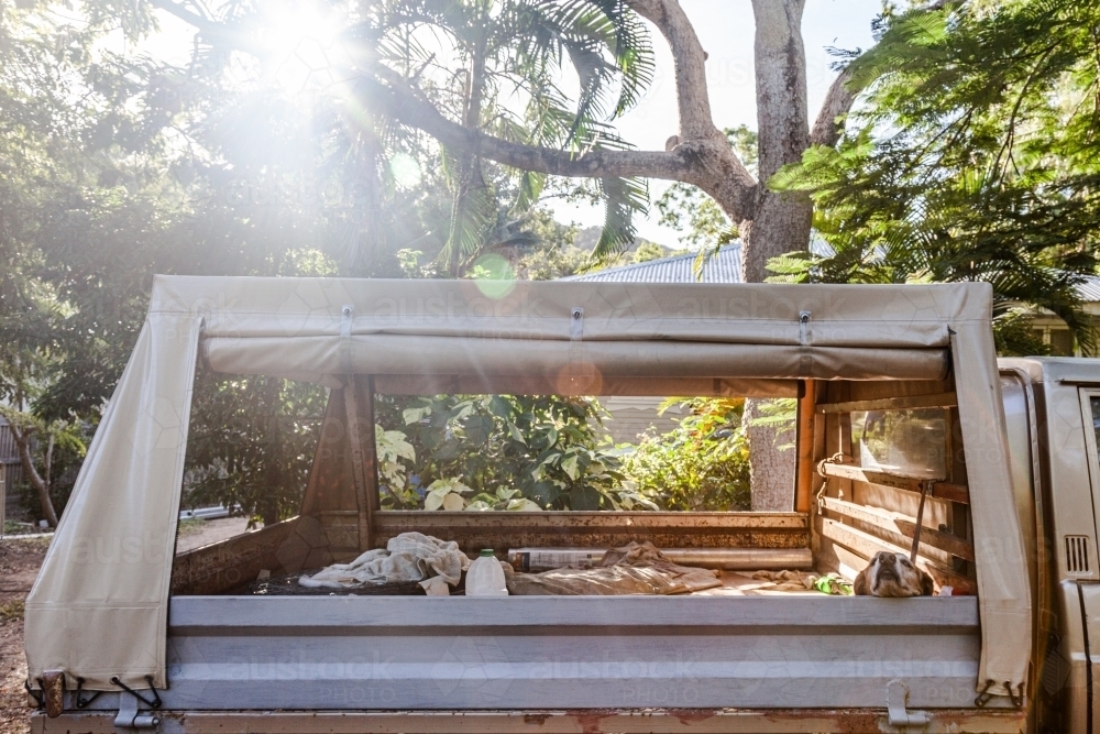 horizontal shot of a back of a ute with trees and sunlight in the background - Australian Stock Image