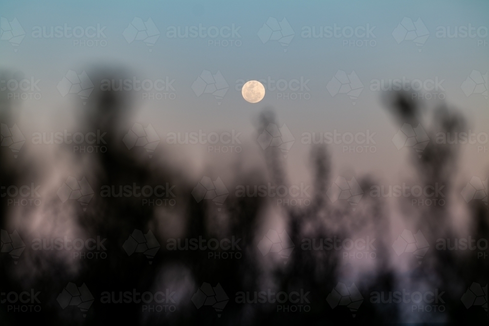 Horizontal shot of a blurry full moon - Australian Stock Image