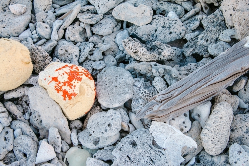 Horizontal shot of an old buoy on coral beach with driftwood detail. - Australian Stock Image