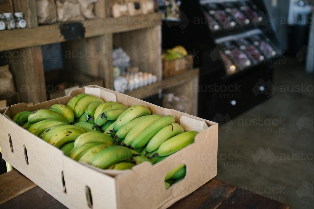 Horizontal shot of green bananas - Australian Stock Image