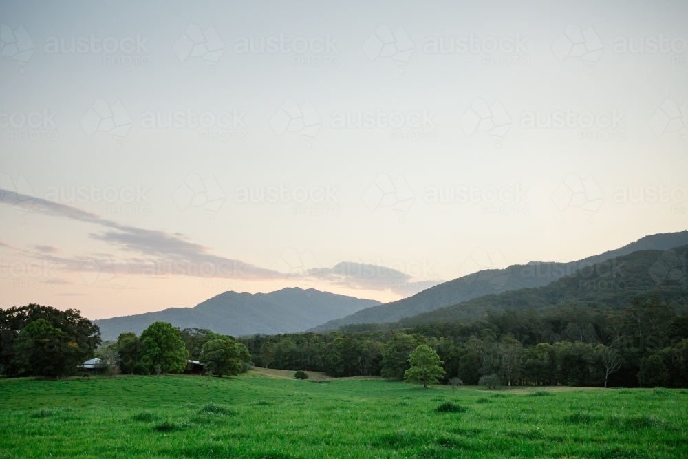 Horizontal shot of green grass field, trees and mountains - Australian Stock Image