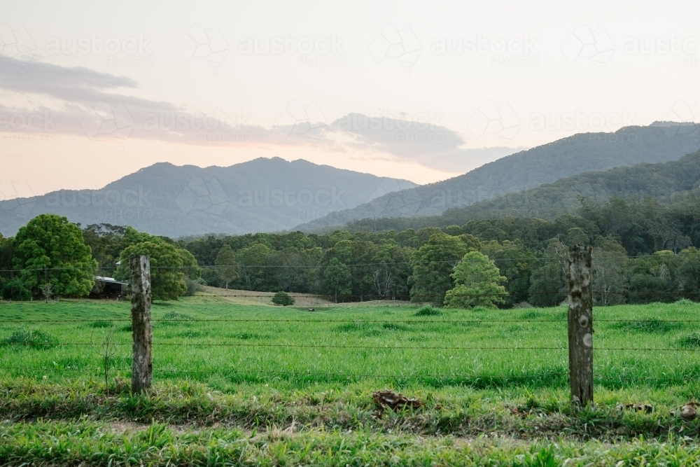 Horizontal shot of green grass field, trees and mountains - Australian Stock Image