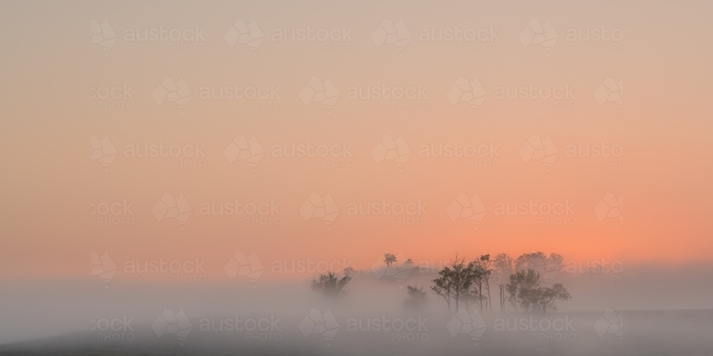 Horizontal shot of mist hiding trees on hill at dawn - Australian Stock Image