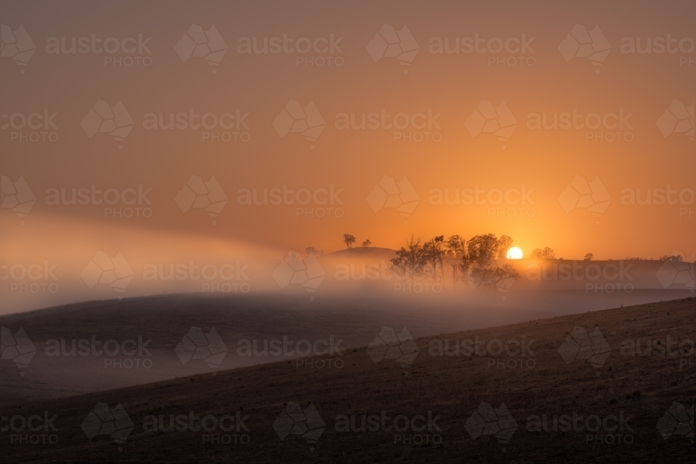 Horizontal shot of mist hiding trees on hill at dawn - Australian Stock Image