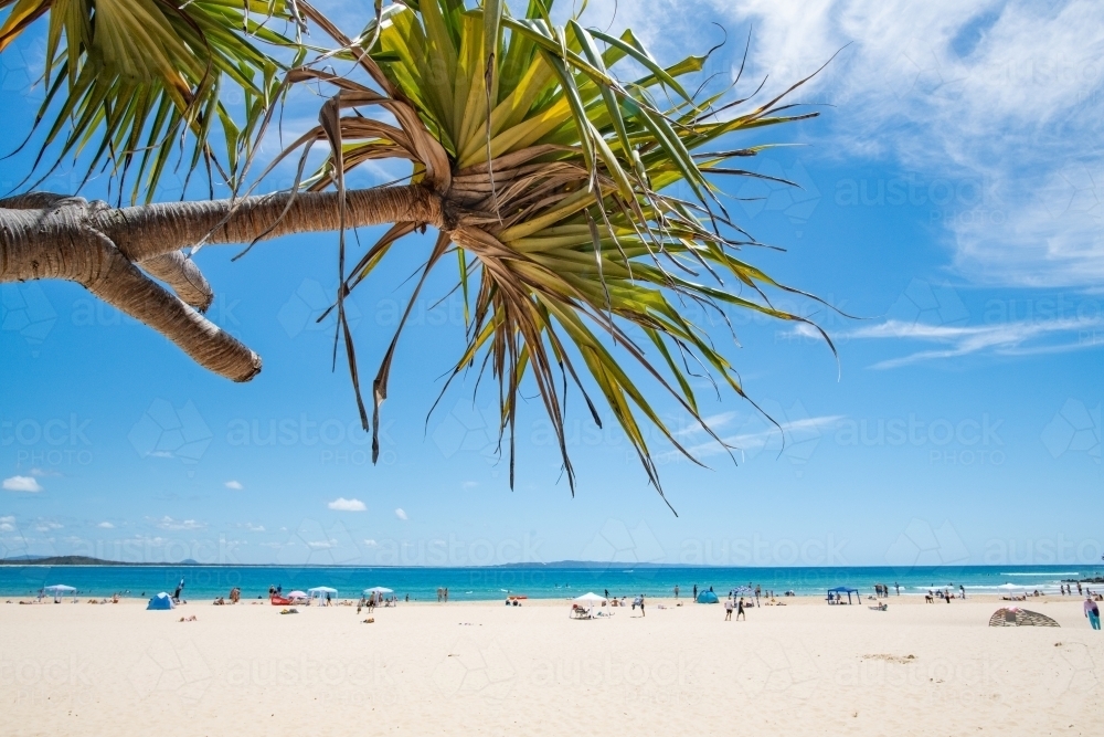 Horizontal shot of people by the beach on a sunny day - Australian Stock Image