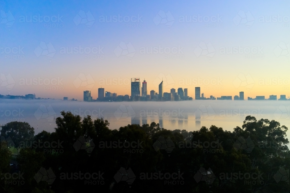 Perth skyline at dawn with fog on the Swan River and silhouetted trees - Australian Stock Image