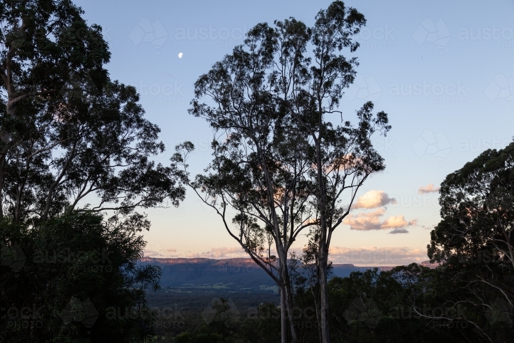 horizontal shot of silhouette of trees with blue and purple skies in the background - Australian Stock Image