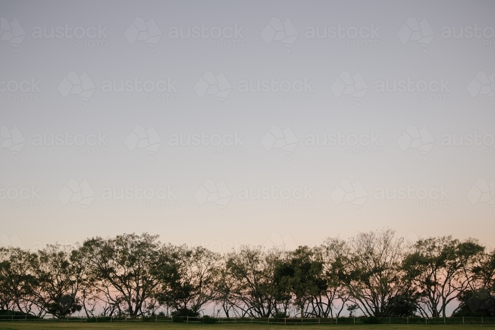 Horizontal shot of trees on the horizon - Australian Stock Image