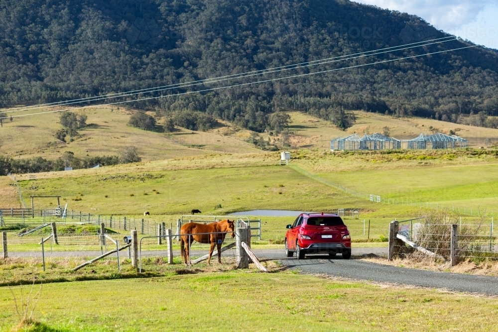 Horse in farm paddock and ev car driving out gateway - Australian Stock Image