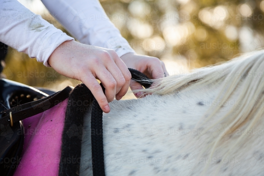 Horse rider holding the reins of her horse - Australian Stock Image