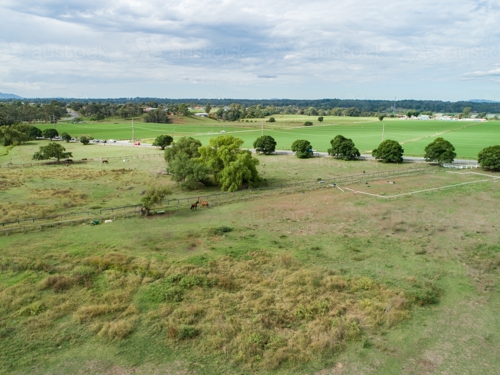 Horses in farm paddock beside road - Australian Stock Image